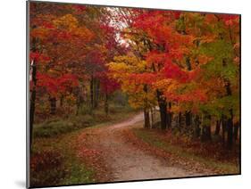 Country Road in the Fall, Vermont, USA-Charles Sleicher-Mounted Premium Photographic Print