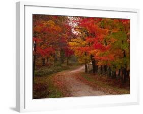 Country Road in the Fall, Vermont, USA-Charles Sleicher-Framed Photographic Print