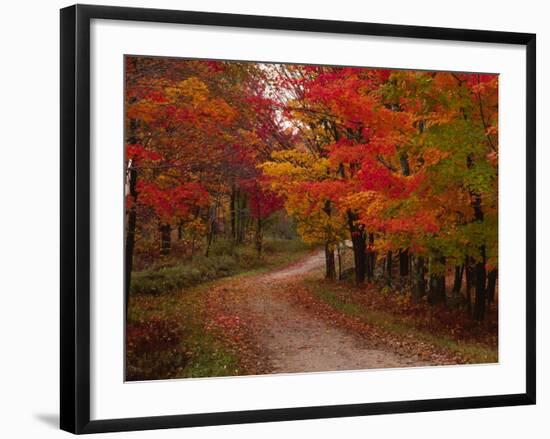 Country Road in the Fall, Vermont, USA-Charles Sleicher-Framed Photographic Print