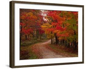 Country Road in the Fall, Vermont, USA-Charles Sleicher-Framed Photographic Print