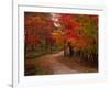 Country Road in the Fall, Vermont, USA-Charles Sleicher-Framed Photographic Print