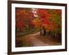 Country Road in the Fall, Vermont, USA-Charles Sleicher-Framed Photographic Print