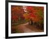 Country Road in the Fall, Vermont, USA-Charles Sleicher-Framed Photographic Print