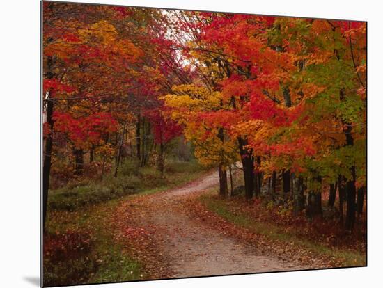 Country Road in the Fall, Vermont, USA-Charles Sleicher-Mounted Photographic Print