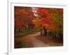 Country Road in the Fall, Vermont, USA-Charles Sleicher-Framed Photographic Print