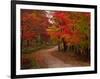 Country Road in the Fall, Vermont, USA-Charles Sleicher-Framed Photographic Print