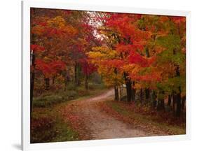 Country Road in the Fall, Vermont, USA-Charles Sleicher-Framed Photographic Print