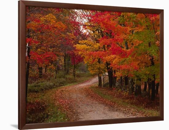 Country Road in the Fall, Vermont, USA-Charles Sleicher-Framed Photographic Print