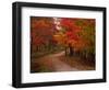 Country Road in the Fall, Vermont, USA-Charles Sleicher-Framed Premium Photographic Print