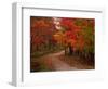 Country Road in the Fall, Vermont, USA-Charles Sleicher-Framed Premium Photographic Print