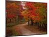 Country Road in the Fall, Vermont, USA-Charles Sleicher-Mounted Premium Photographic Print