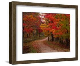 Country Road in the Fall, Vermont, USA-Charles Sleicher-Framed Photographic Print
