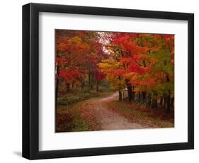 Country Road in the Fall, Vermont, USA-Charles Sleicher-Framed Photographic Print