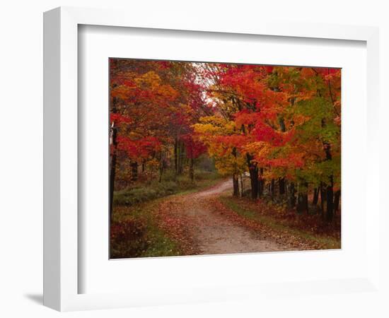 Country Road in the Fall, Vermont, USA-Charles Sleicher-Framed Photographic Print