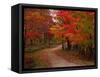 Country Road in the Fall, Vermont, USA-Charles Sleicher-Framed Stretched Canvas