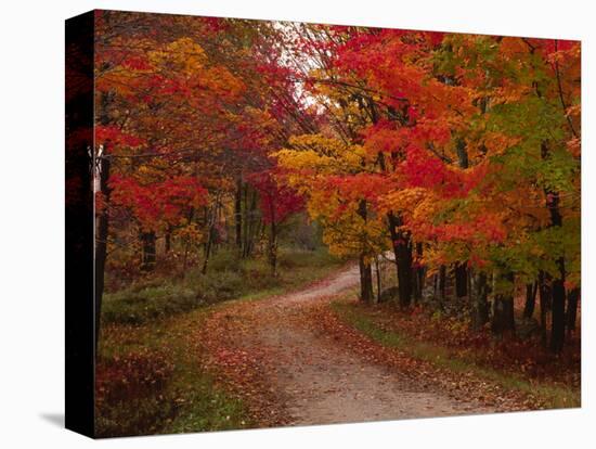 Country Road in the Fall, Vermont, USA-Charles Sleicher-Stretched Canvas