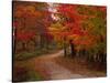 Country Road in the Fall, Vermont, USA-Charles Sleicher-Stretched Canvas