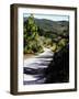 Country Road in Tuscany-Helen J. Vaughn-Framed Giclee Print