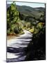 Country Road in Tuscany-Helen J. Vaughn-Mounted Giclee Print