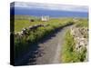 Country Road, Inishmore, Aran Islands, County Galway, Connacht, Republic of Ireland (Eire), Europe-Ken Gillham-Stretched Canvas