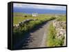 Country Road, Inishmore, Aran Islands, County Galway, Connacht, Republic of Ireland (Eire), Europe-Ken Gillham-Framed Stretched Canvas