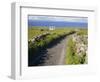 Country Road, Inishmore, Aran Islands, County Galway, Connacht, Republic of Ireland (Eire), Europe-Ken Gillham-Framed Photographic Print