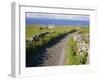 Country Road, Inishmore, Aran Islands, County Galway, Connacht, Republic of Ireland (Eire), Europe-Ken Gillham-Framed Photographic Print