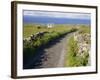 Country Road, Inishmore, Aran Islands, County Galway, Connacht, Republic of Ireland (Eire), Europe-Ken Gillham-Framed Photographic Print