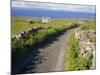 Country Road, Inishmore, Aran Islands, County Galway, Connacht, Republic of Ireland (Eire), Europe-Ken Gillham-Mounted Photographic Print