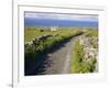 Country Road, Inishmore, Aran Islands, County Galway, Connacht, Republic of Ireland (Eire), Europe-Ken Gillham-Framed Photographic Print