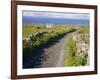 Country Road, Inishmore, Aran Islands, County Galway, Connacht, Republic of Ireland (Eire), Europe-Ken Gillham-Framed Photographic Print