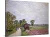 Country Road Near Moret, 1885-Alfred Sisley-Stretched Canvas