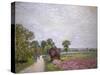 Country Road Near Moret, 1885-Alfred Sisley-Stretched Canvas