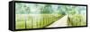 Country Road Panorama II-James McLoughlin-Framed Stretched Canvas