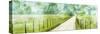 Country Road Panorama II-James McLoughlin-Stretched Canvas