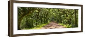 Country Road Panorama IV-James McLoughlin-Framed Photographic Print