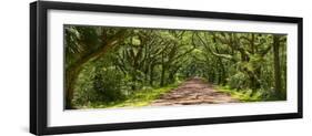 Country Road Panorama IV-James McLoughlin-Framed Photographic Print