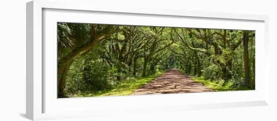 Country Road Panorama IV-James McLoughlin-Framed Photographic Print