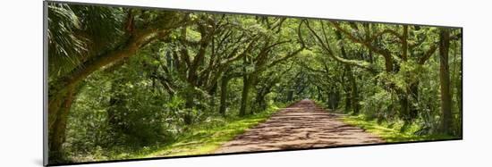 Country Road Panorama IV-James McLoughlin-Mounted Photographic Print