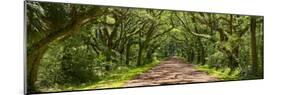 Country Road Panorama IV-James McLoughlin-Mounted Photographic Print