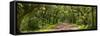 Country Road Panorama IV-James McLoughlin-Framed Stretched Canvas