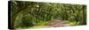 Country Road Panorama IV-James McLoughlin-Stretched Canvas