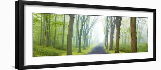 Country Road Panorama V-James McLoughlin-Framed Photographic Print