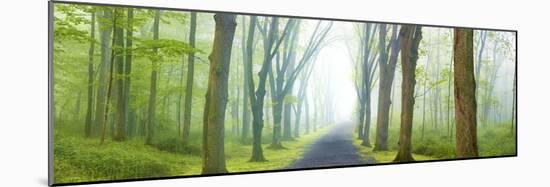 Country Road Panorama V-James McLoughlin-Mounted Photographic Print