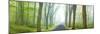 Country Road Panorama V-James McLoughlin-Mounted Photographic Print