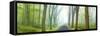 Country Road Panorama V-James McLoughlin-Framed Stretched Canvas