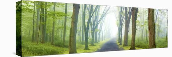 Country Road Panorama V-James McLoughlin-Stretched Canvas