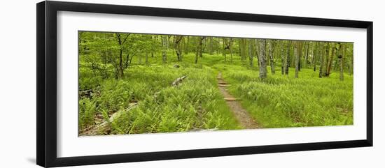 Country Road Panorama VI-James McLoughlin-Framed Photographic Print