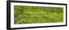 Country Road Panorama VI-James McLoughlin-Framed Photographic Print