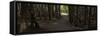 Country Road Panorama VII-James McLoughlin-Framed Stretched Canvas